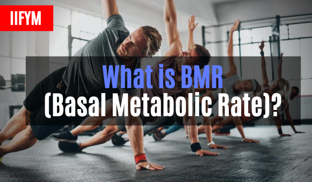 How To Calculate BMR (Basal Metabolic Rate) Macro Diet Plan for Fast
